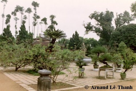 thien3.jpg
